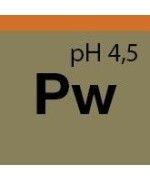 Koch Chemie PW Protector Wax - Ceara lichida Koch Chemie - 2